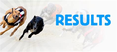 Racing post greyhounds cards  odds 2